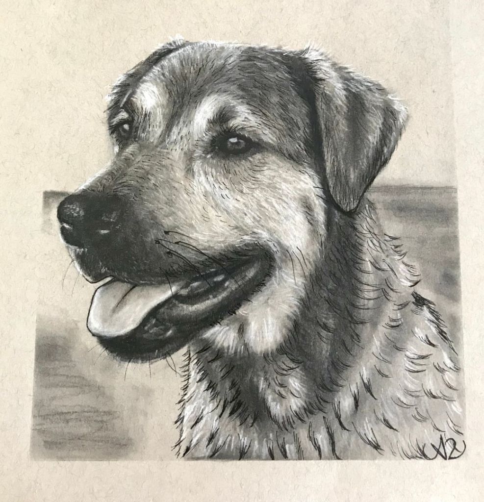 Meet Aly Vredenburgh Artist/Musician and Writer SHOUTOUT SOCAL