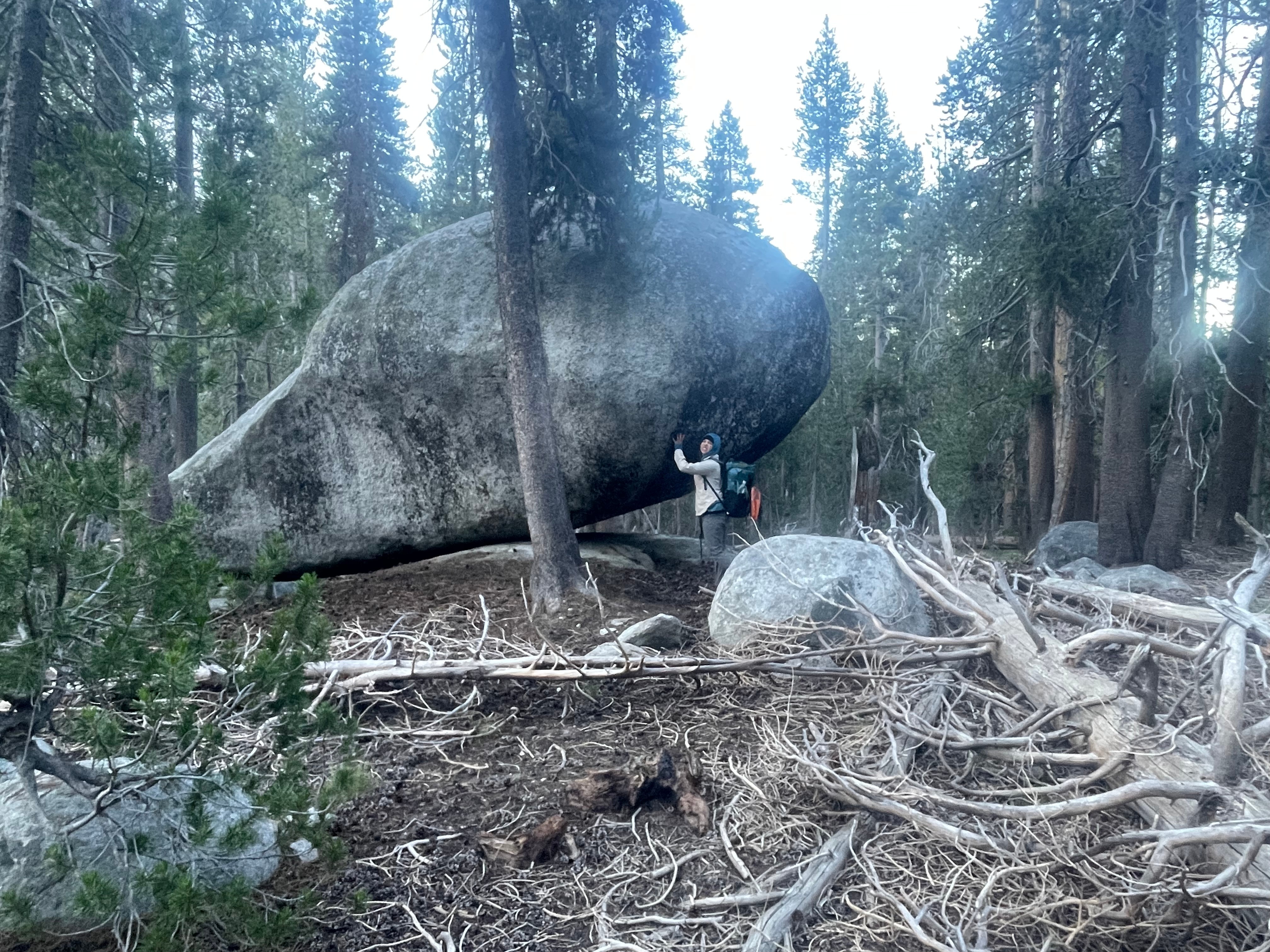 Person standing next to a large boulder in a forest with trees and fallen branches.