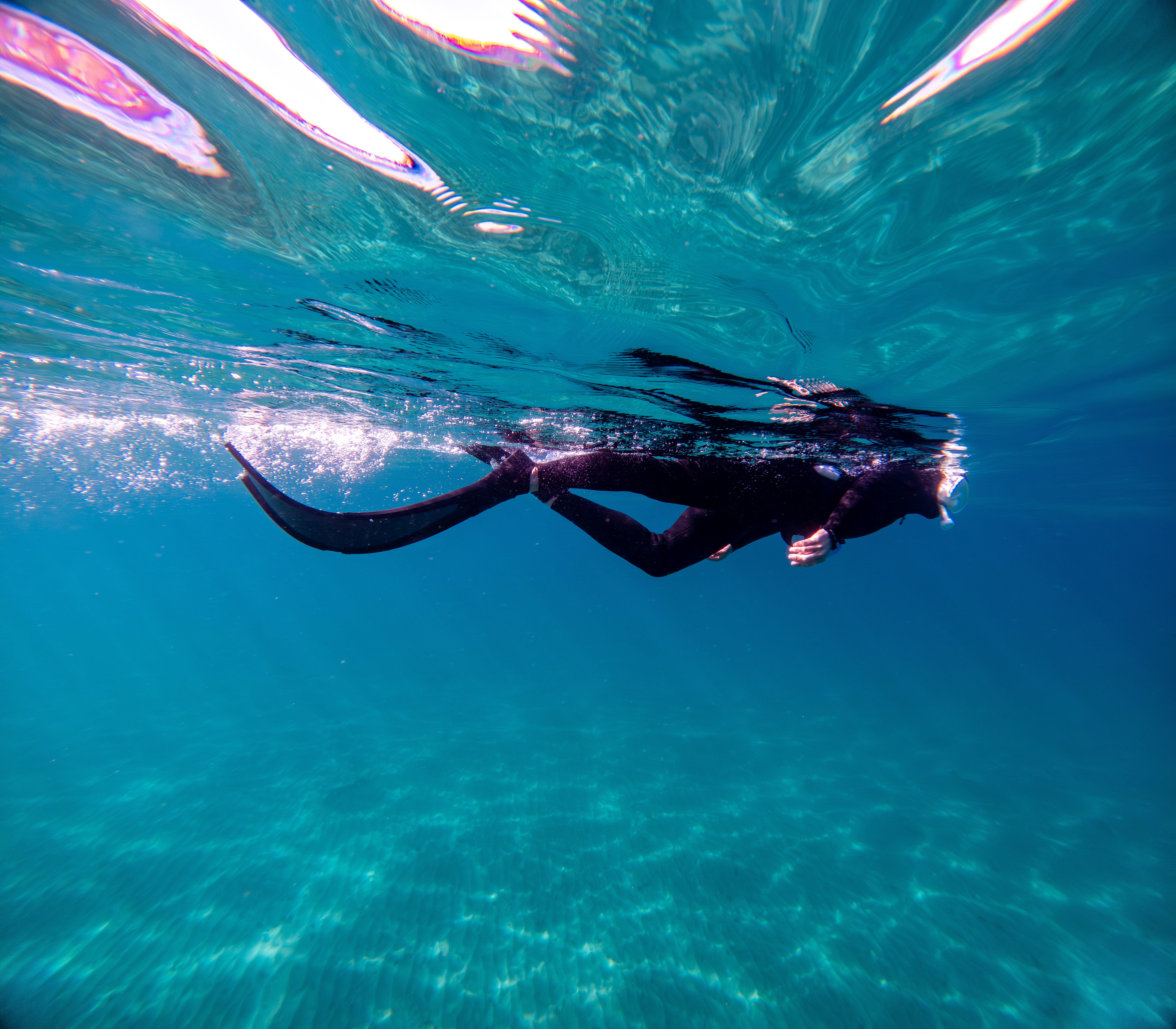 A black cat swims underwater with its body horizontal and tail curved, water reflections above, and sunlight on the ocean floor.